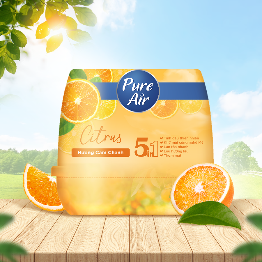 Pure Air scented wax - Citrus